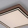 Hranatá - PN 6141-79 PALMA LED stropní svítidlo, imitace dřeva, stmívatelné, dálkový ovladač, CCT 2700-5000K - PAUL NEUHAUS - foto 7