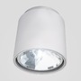 Downlight - RED R10162 Stropní svítidlo EX válcová přisazená stropní QRB111 stříbrná 23 - RED - DESIGN RENDL - foto 7