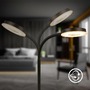 Stolní lampy pracovní - BRILO 7585015 Megg lampička na psací stůl – 12W, 800lm, LED, stmívatelné, dotykový vypínač, teplá bílá, černá - BRILO - foto 7