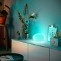 Stolní lampy dekorační - PH 8721103118813 Hue Flourish stmívatelná lampa EU A60 WCA 1000-20000K RGB - PHILIPS - foto 7
