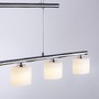 Podélná - PN 2209-55 HYDRA LED závěsné svítidlo, stříbrná barva, 5 ramenné, nastavitelná výška, nad jídelní stů 3000K - PAUL NEUHAUS - foto 7
