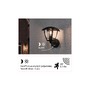 Nástěnná - P 94647 Venkovní nástěnné svítidlo Classic Curved pohybové čidlo IP44 hranaté 164x180mm max. 12W 230V černá umělá hmota - PAULMANN - foto 7
