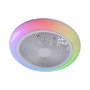 Kruhová - LD 14623-16 LED stropní svítidlo s ventilátorem BRANDA bílé RGB CCT, RGB/3000-6500K - JUST LIGHT - foto 7