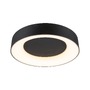 Kruhová - P 71097 LED stropní svítidlo Casca IP44 CCT 230V 23W černá mat - PAULMANN - foto 7