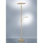 Stojací lampy - PN 673-60 ARTUR LED stojací svítidlo, svítidlo na čtení, matná mosaz, design 2700-5000K - PAUL NEUHAUS - foto 8