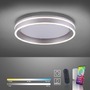 Kruhová - PN 8414-55 Q-VITO LED stropní svítidlo Smart-Home s měnitelnou teplotou chromatičnosti a změna barev s pamětí a ovladačem stmívání ZigBee 2700-5000K - PAUL NEUHAUS - foto 8
