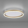 Kruhová - LD 15391-60 RITUS LED stropní svítidlo, matná mosaz, kruhové, pr.40cm, stmívatelné, Switchmo, teplá bílá krokově stmívatelné 3000K - LEUCHTEN DIREKT / JUST LIGHT - foto 8