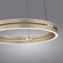 Kruhová - PN 2550-60 LED závěsné svítidlo PURE E-Loop matná mosaz elektrické 2700-5000K - PAUL NEUHAUS - foto 8
