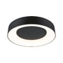 Kruhová - P 71097 LED stropní svítidlo Casca IP44 CCT 230V 23W černá mat - PAULMANN - foto 8