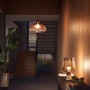 E27 - PH 8720169364868 Hue WA 1100 smart žárovka A60 E27, 9,5W, 1100lm, 1000-20000K (2 ks) - PHILIPS - foto 8
