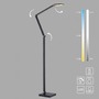 Stojací lampy - PN 304-15 LED stojací svítidlo SAMSKY, šedá, CCT-nastavitelná barva světla, dotykové ovládání, nastavitelná výška, 2700-5000K - PAUL NEUHAUS - foto 8