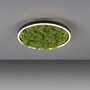 Kruhová - LD 15391-66 GREEN RITUS LED stropní svítidlo 40x40 islandský mech Switchmo 3-krokové stmívání 3000K akustické - LEUCHTEN DIREKT / JUST LIGHT - foto 8