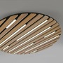 Kruhová - PN 6421-79 LED nástěnné a stropní svítidlo Q-AKUSTIK dřevo, přírodní Smarthome ZigBee 2700-5000K - PAUL NEUHAUS - foto 8