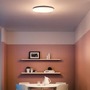 Kruhová - PH 31823/31/P5 LED Stropní/ nástěnné svítidlo Philips Wawel 31823/31/P5 36W 48cm - PHILIPS (915005315708) - foto 8