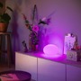 Stolní lampy dekorační - PH 8721103118813 Hue Flourish stmívatelná lampa EU A60 WCA 1000-20000K RGB - PHILIPS - foto 8