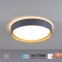 Kruhová - LD 14347-15 LED stropní svítidlo, kruhové, pr. 40 cm, stmívatelné, šedá, dekor dřeva, krokově stmívatelné, 3000K - JUST LIGHT - foto 8