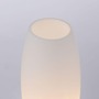 Stolní lampy dekorační - PN 4021-55 JOY LED stolní lampa stříbrná opálové sklo 3 krokové dotykový stmívač 3000K - PAUL NEUHAUS - foto 8