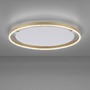 Kruhová - LD 15392-60 RITUS LED stropní svítidlo, matná mosaz, kruhové pr.60cm, stmívatelné, Switchmo, teplá bílá krokově stmívatelné 3000K - LEUCHTEN DIREKT / JUST LIGHT - foto 8