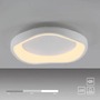 Kruhová - LD 14233-16 Kolekce Schöner Wohnen LED stropní svítidlo MONTA, bílá, stmívatelné, paměťová funkce, krokově stmívatelné, 3000K - JUST LIGHT - foto 9