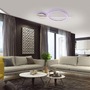 Dekorativní - PN 6154-55 Q ARKOA LED stropní svítidlo Smart Home stříbrná barva stmívatelné RGB ZigBee 2700-5000K - PAUL NEUHAUS - foto 9