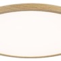 Kruhová - P 71260 LED Panel Atria Shine IP44 kruhové 398mm 20,8W CCT design dřevo dub - PAULMANN - foto 9