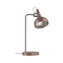 Stolní lampy pracovní - P 77067 Stolní lampa Juna Style E14 max. 20W nugátová kov - PAULMANN - foto 9
