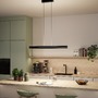 Podélná - P 78474 LED závěsné svítidlo Raiko RGBW+ stmívatelné / 19W / 6W černá - PAULMANN - foto 9