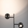 Stojací lampy - P 71429 LED stojací svítidlo Pane 2700K 2x2,2W titanová - PAULMANN - foto 9
