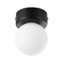 Kruhová - P 71068 Selection Bathroom stropní svítidlo Gove IP44 G9 230V max. 20W černá mat/satén - PAULMANN - foto 9
