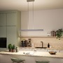 Podélná - P 78475 LED závěsné svítidlo Raiko RGBW+ stmívatelné / 19W / 6W stříbrná mat - PAULMANN - foto 9