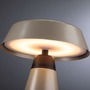 Stolní lampy dekorační - P 77061 Nabíjecí bateriové svítidlo Lirox IP44 CCT šampaň/černá - PAULMANN - foto 9