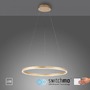 Kruhová - LD 15394-60 RITUS LED závěsné svítidlo matná mosaz kruhové pr.60cm stmívatelné Switchmo teplá bílá krokově stmívatelné 3000K - LEUCHTEN DIREKT / JUST LIGHT - foto 9