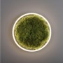 Kruhová - LD 15391-66 GREEN RITUS LED stropní svítidlo 40x40 islandský mech Switchmo 3-krokové stmívání 3000K akustické - LEUCHTEN DIREKT / JUST LIGHT - foto 9