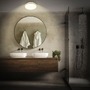 Kruhová - BRI 3870014 Acorus W stropní svítidlo pr.28 cm - 12W, 1200lm, LED, IP44, teplá bílá, bílé/dřevo - BRILONER - foto 9