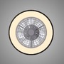Kruhová - LD 14447-18 LED stropní ventilátor CCT RGB změna barev dálkový ovladač, RGB/2700-6500K - JUST LIGHT - foto 9