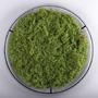 Kruhová - LD 15392-66 GREEN RITUS LED stropní svítidlo 60x60 islandský mech Moos Switchmo 3 krokové stmívání 3000K akustické - LEUCHTEN DIREKT / JUST LIGHT - foto 9
