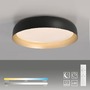 Kruhová - LD 14216-18 OSKO LED stropní svítidlo průměr 57 černá / zlatá stmívatelné dálkovým ovladačem CCT 2700-5000K - JUST LIGHT - foto 9
