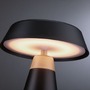 Stolní lampy dekorační - P 77060 Nabíjecí bateriové svítidlo Lirox IP44 CCT černá/šampaň - PAULMANN - foto 9