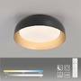 Kruhová - LD 14215-18 OSKO LED stropní svítidlo průměr 40 černá stmívatelné dálkovým ovladačem CCT 2700-5000K - JUST LIGHT - foto 9