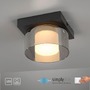 Dekorativní - PN 6162-18 RIKA LED stropní svítidlo 1 ramenné stmívatelné vypínačem SimplyDim 3000K - PAUL NEUHAUS - foto 9