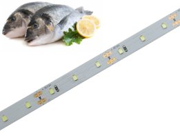 Potravinářské, UV a speciální LED pásky - Potravinářský pásek: RYBY, 15000-25000K, 12W/m, PROFI, 12V, IP20, 60LED/m, SMD2835, záruka 5 let
