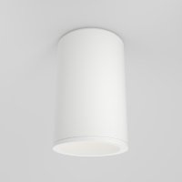 Přisazená svítidla - Stropní svítidlo Zoom, C029CL-01-S-W - MAYTONI, IP65, 50W