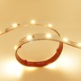 Jednobarevné LED pásky 12V, 24V, 230V - PROFI LED pásek 4,8W/m, 12V, IP20, 60LED/m, SMD3528, záruka 5 let - foto 4