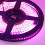 Digitální LED pásky - Digitální RGB LED pásek, 10W, 200LED/m, 200pixelů/m, 12V, 5mm PCB - foto 11